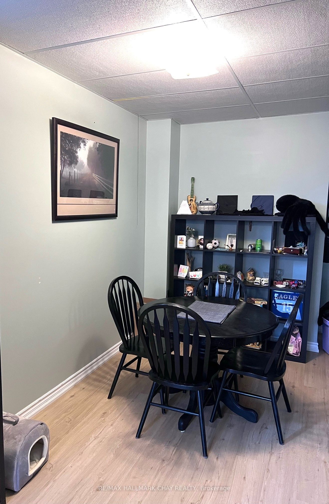 Unit lower level - 133 Monique Crescent, Barrie 4