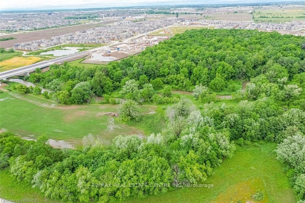 Unit Bsmt - 1412 Rose Way, Milton 5